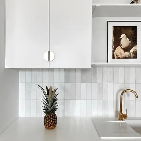 Apartamento Lemur
