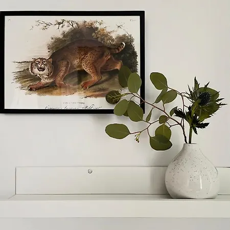 Lemur